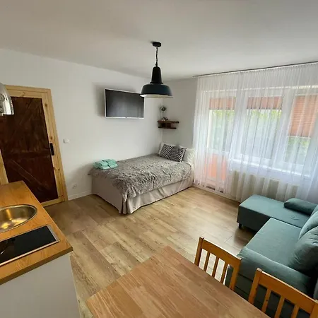Apartament Pan Rybak Władysławowo Zewnętrze zdjęcie