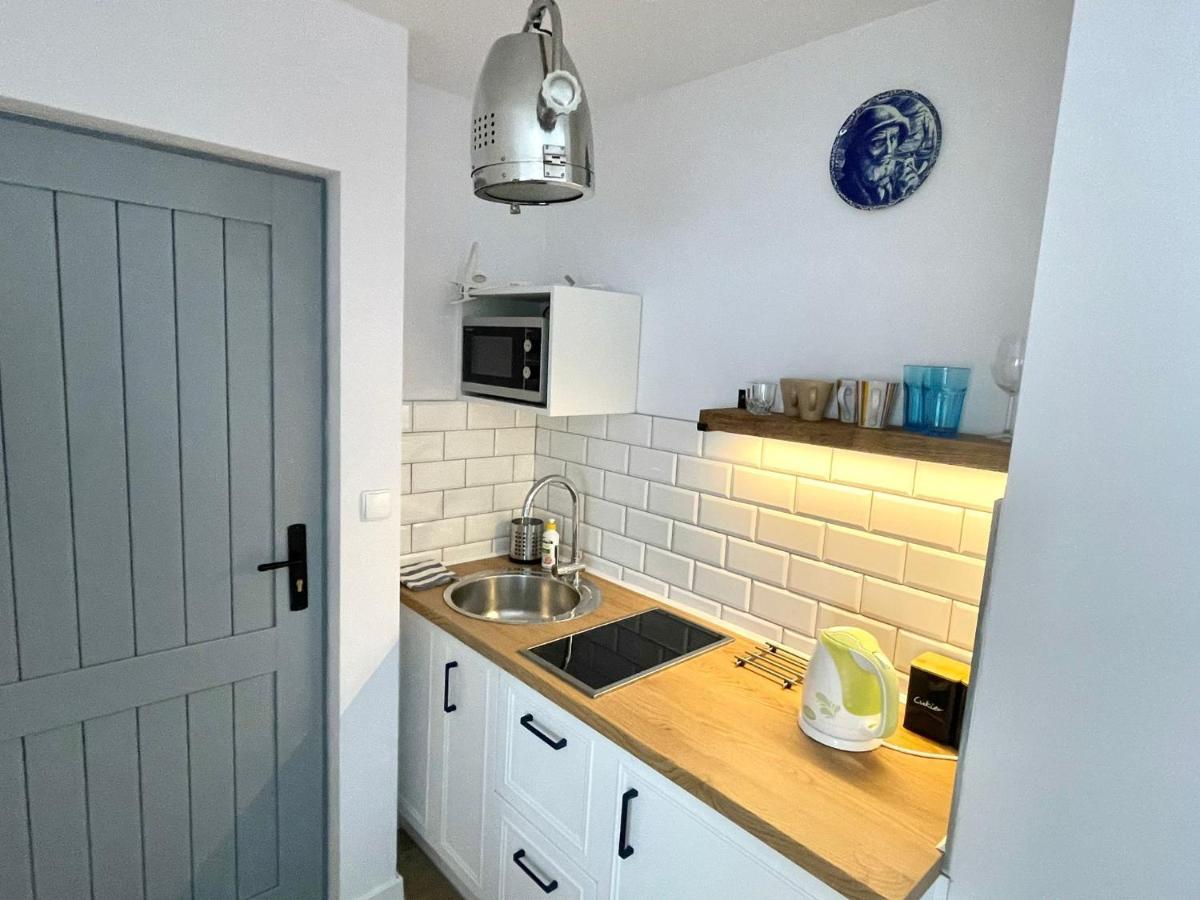 Pan Rybak Apartment *
