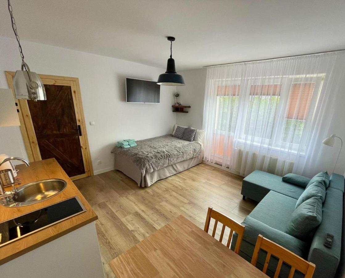 Pan Rybak Apartment *